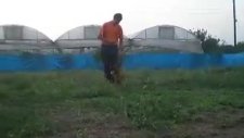 köpek eğitimi zeugma dog sport