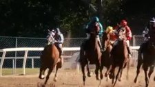 secretariat kısa klip 2
