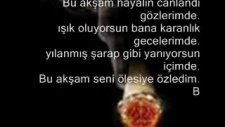 Ömrüm Seninle Geçsin