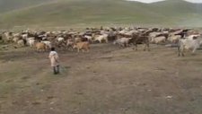 Ardahan Göle Kayaaltı Poladik Köyü