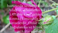 ebubekir şatıri hucurat suresi