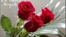 Burhan Cacan Geceler Sensiz