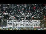 Dale,cavase,beşiktaş,çarşı