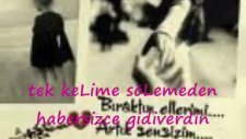 arap şükrü