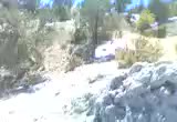 kastomonu kurt avı