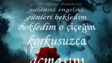 affettim ama unutamadım