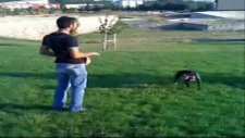 ayaz&daisy getir