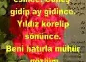Çok Sevdim Felek Aldı