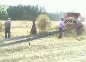 Yozgatta Ekmek Nası Oluyo