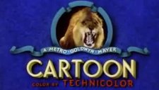 tom ve jerry - cennetlik kedi
