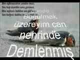 Hasret