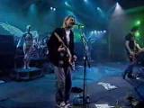 Nirvana Pennyroyal Tea