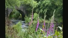 Greensleeves