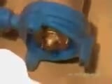lowara domo gri videosu