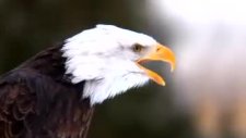 yarın hava nasıl olacak?