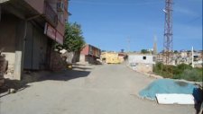 karaz da payizek.z.avcı
