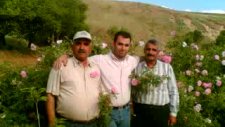 Erol Berxadan Yare