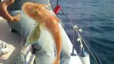 Kusadası Balık Turu Kuşadası Balık Avı