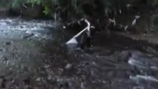 Derede Balık Tutmak