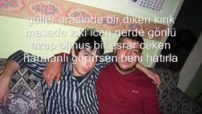 Damarrrr