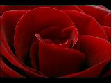 Gokce Kirgiz - Yıldızsız Geceler Gokce Kirgiz - Yıldızsız Geceler