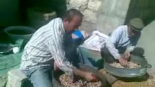 Payamlı Köyü