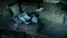 shaun the sheep - sheepwalking