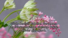 dünyanın en güzel sesli hafızından ağlatan ayetler