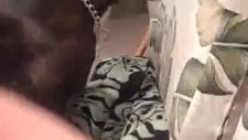 sinirlenince piskopatlaşan köpek