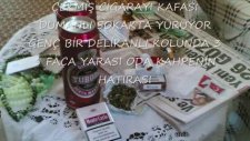 ALEMCİLER