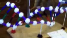 Dna Molekülü Örneği Yesilcimen.