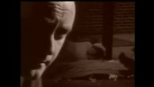 Phil Collins - Another Day In Paradise- (Türkçe)