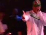 Ella Yo Don Omar