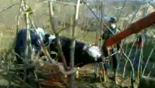 2010 Ordu Kurban Kesimi Kasap Nihat