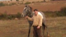 satılık at