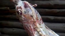 Boyabat Sırık Kebabı Hazırlama 3