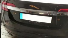 altın kaplama 24 ayar jaguar