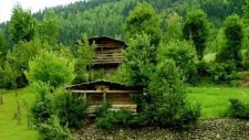 Artvin Yöresi Gelin Çıkma Kiraza