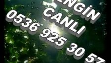 Engin Canlı Kum Gibi