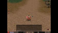 Kingmt2new