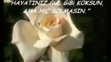 Duygulu İlahiler
