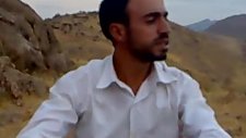 Reben 2010