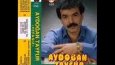 Aydogan Tayfur Nerelerdesin