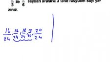 erben aydın rasyonel sayılar sbs 7