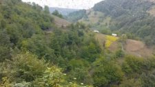 şu akkuşuşun gürgenleri yıkılmadımı