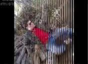Kamil Gel Benimle Ol