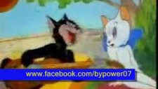 kedinin aşkı - ali ayşeyi seviyor