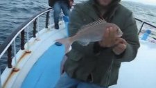 kuşadası balık turu kusadasibalikturu