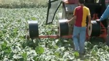 yassı damla sulama borusu toprakaltı -mgf plast