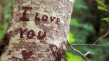 celine dion i love you